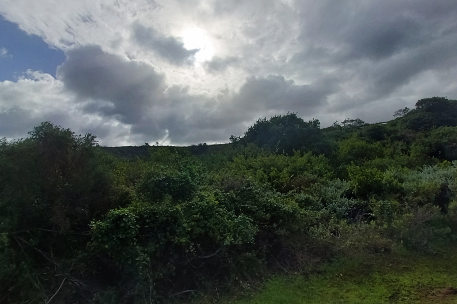 0 Bedroom Property for Sale in Dolphin Creek Golf Estate Western Cape